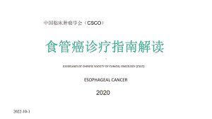 2020CSCO食管癌指南解读课件.pptx