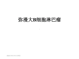 弥漫大B细胞淋巴瘤课件.ppt