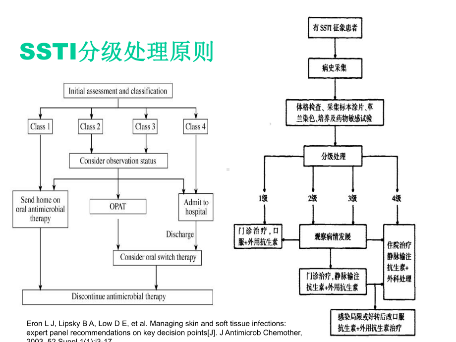 皮肤及软组织感染课件.ppt_第3页