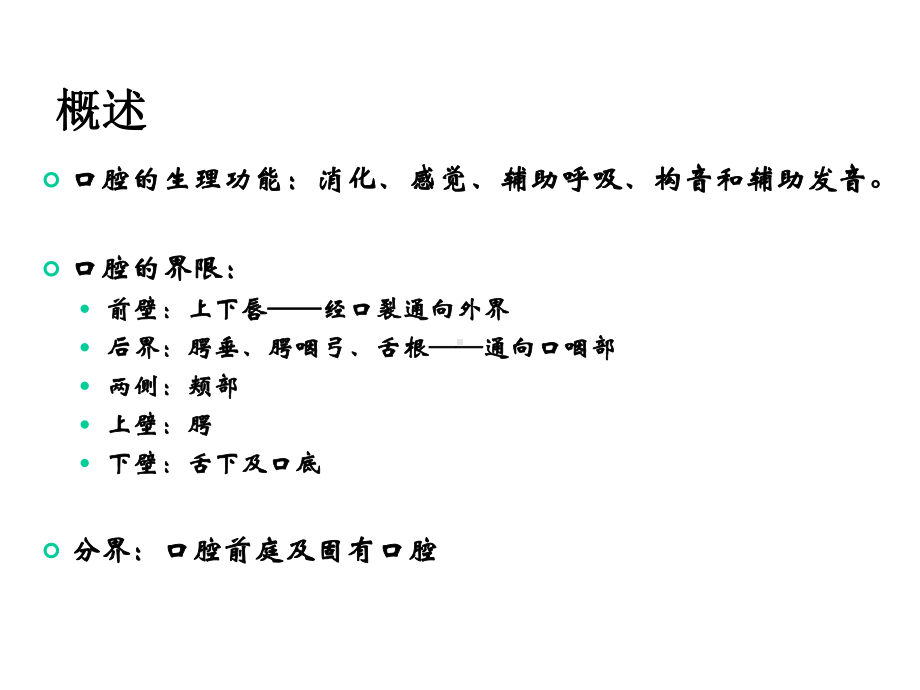 口腔解剖学：口腔局部解剖及其生理功能课件.ppt_第3页