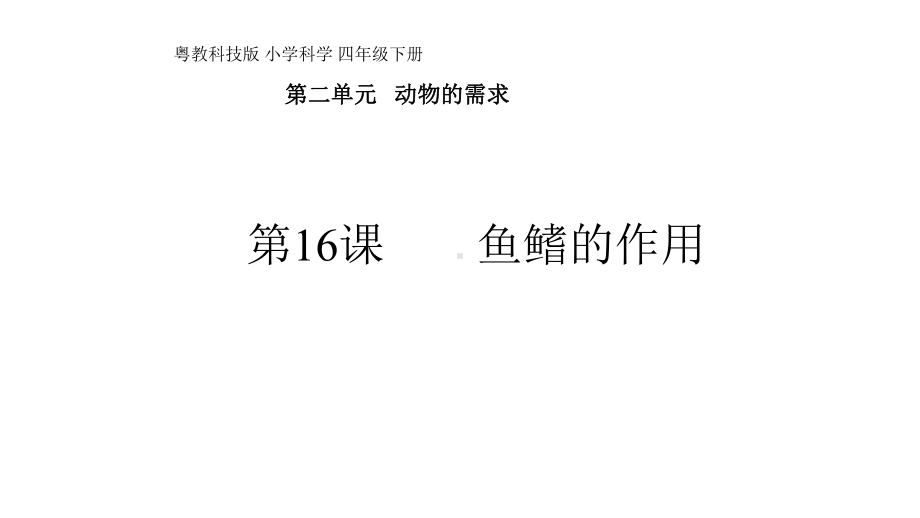 四年级下册科学第二单元第16课《专题探究：鱼鳍的作用》粤教版课件.pptx_第1页