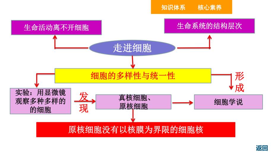 人教版高中生物必修一11走近细胞(复习用)(共39张)课件.ppt_第2页