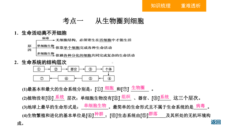 人教版高中生物必修一11走近细胞(复习用)(共39张)课件.ppt_第3页