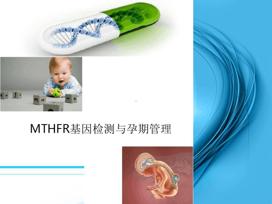 MTHFR基因检测与叶酸代谢课件.ppt_第1页