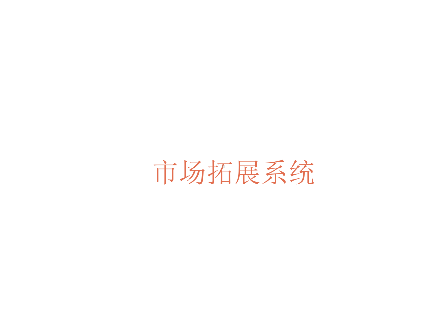 市场拓展系统课件.ppt_第1页