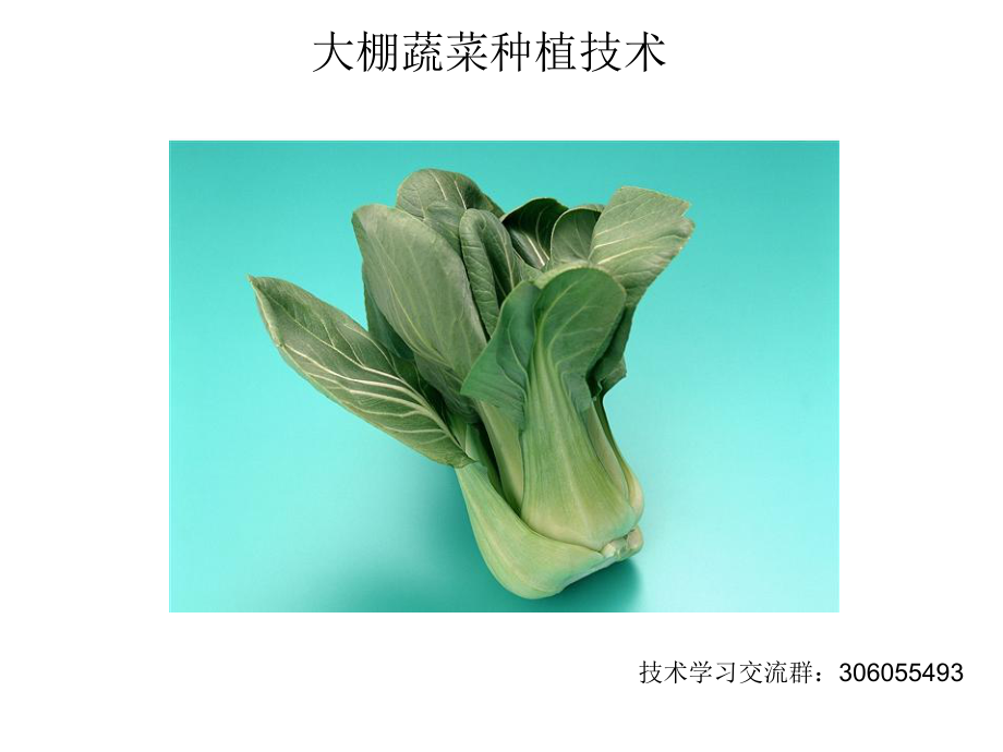 大棚蔬菜种植技术精选课件.ppt_第1页