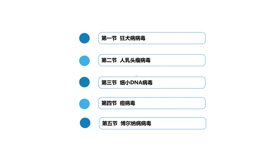 病毒学之其它病毒课件.pptx_第2页