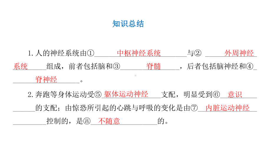 2022版新教材生物人教版选择性必修第一册课件：第2章+神经调节+章末总结.pptx_第2页