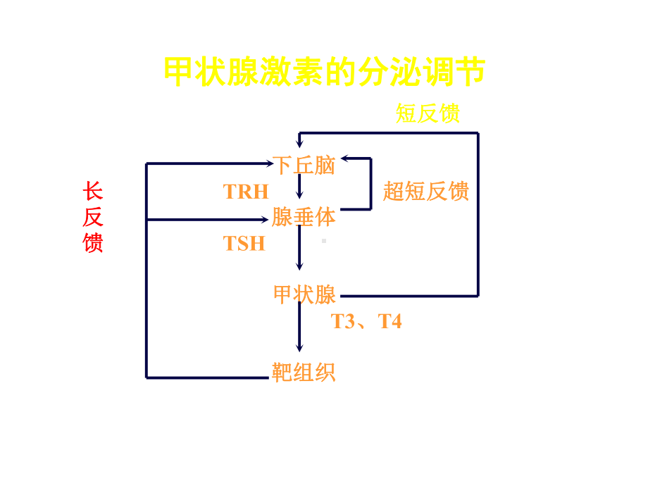 甲状腺激素抵抗综合征课件.ppt_第1页