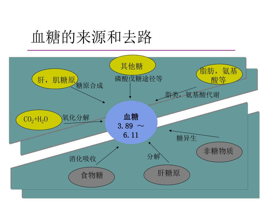 患者血糖监测与处理课件.ppt_第3页