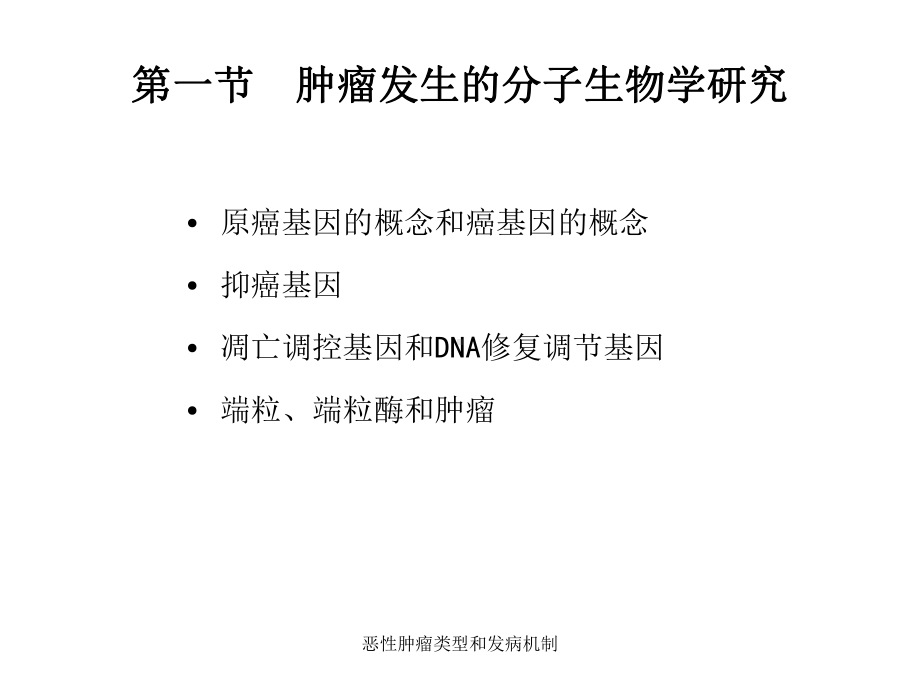 恶性肿瘤类型与发病机制课件.ppt_第3页