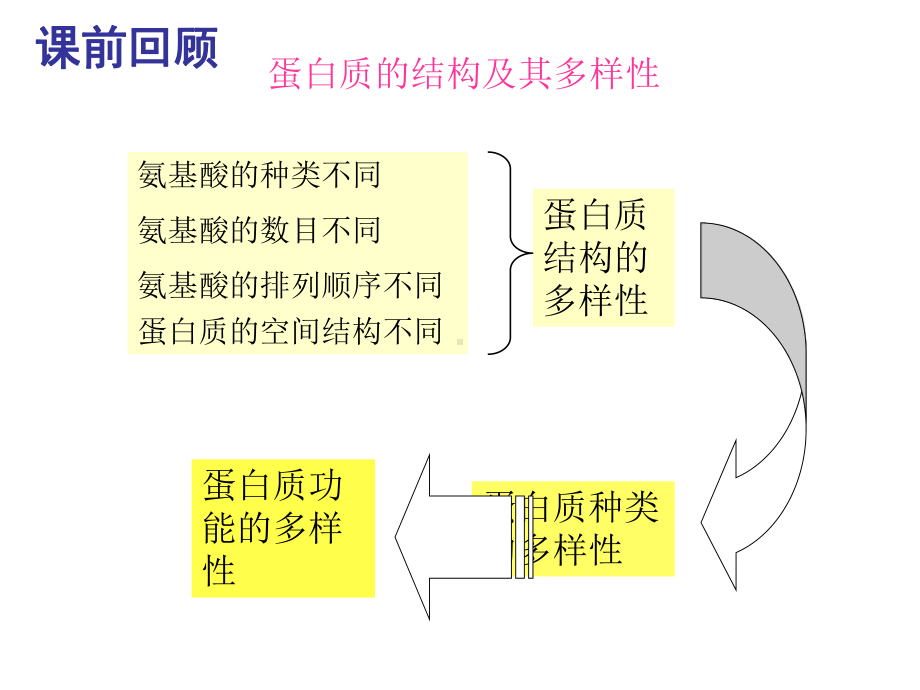 人教版蛋白质的主要作用课件.ppt_第3页