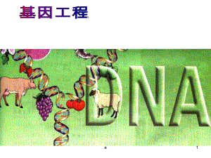 人教版高中生物选修3专题一《基因工程》课件.ppt