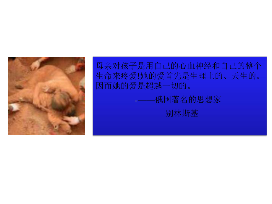 妈妈在孩子成长过程的角色和责任课件.pptx_第2页