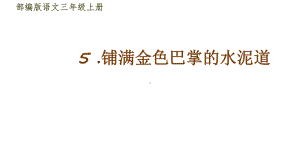 (人教版)统编版三年级上册语文课件5铺满金色巴掌的水泥道人教部编版(共23张).pptx