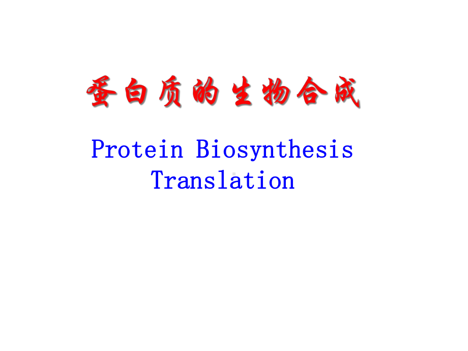 生物化学：蛋白质的生物合成课件.ppt_第1页