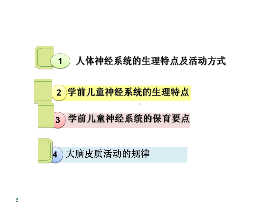 学前儿童卫生与保育第七节神经系统精选课件.ppt_第2页