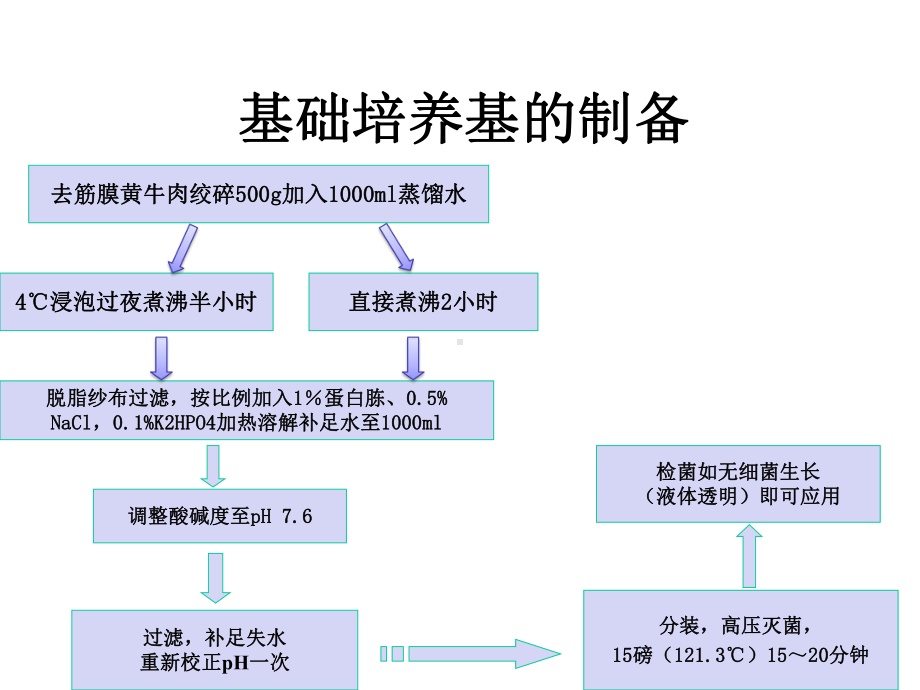 微生物实验细菌培养、接种医学课件.pptx_第3页