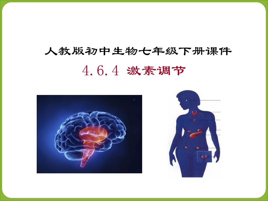 人教版生物七下激素调节课件.pptx_第1页