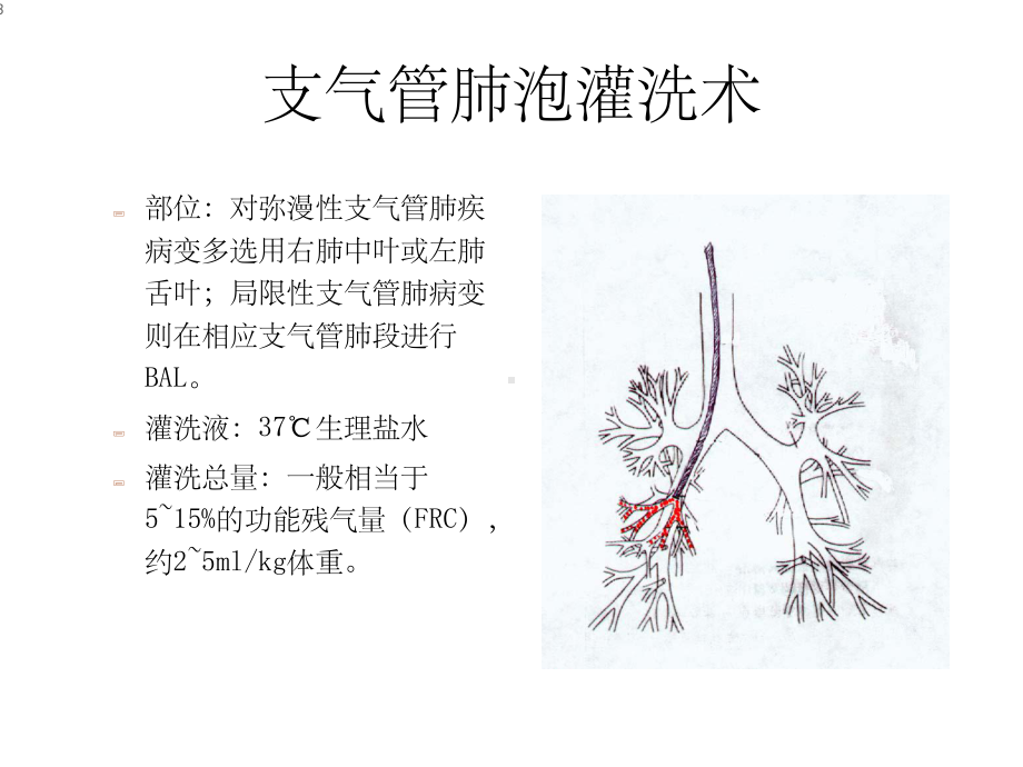 支气管镜在儿童呼吸课件.ppt_第3页