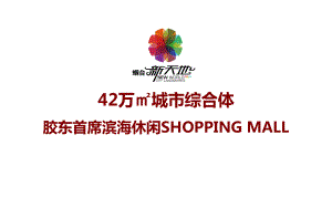 烟台新天地都市广场项目招商手册(35张)课件.ppt