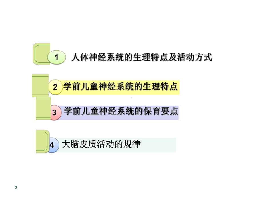 学前儿童卫生与保育第七节神经系统课件.ppt_第2页