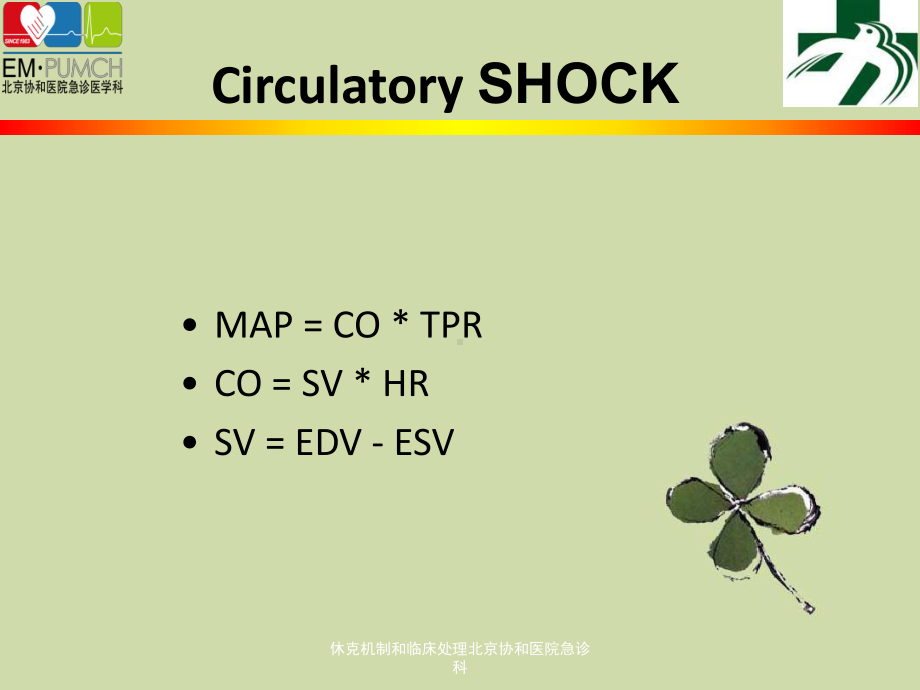 休克机制和临床处理北京协和医院急诊科课件.ppt_第3页