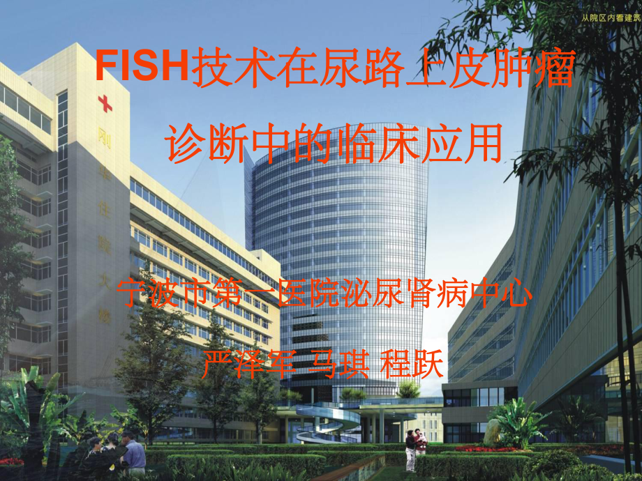 FISH技术在尿路上皮肿瘤诊断中的临床应课件.ppt_第1页