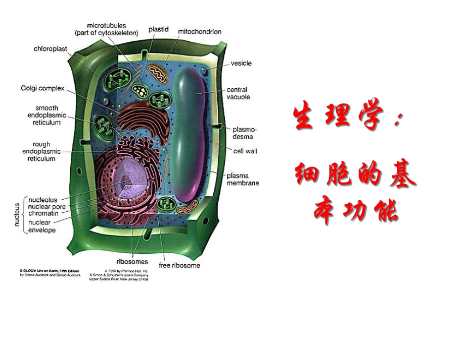 生理学：细胞的基本功能课件.ppt_第1页