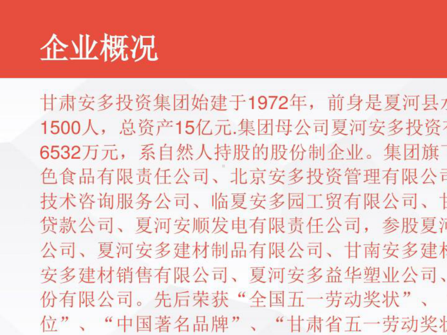 2021年一个食品类企业线上电商代运营整体方案.pptx_第3页