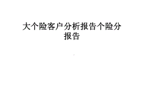 大个险客户分析报告个险分报告课件.pptx