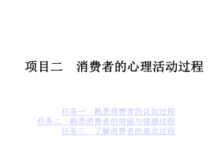 消费者的心理活动过程一课件.ppt