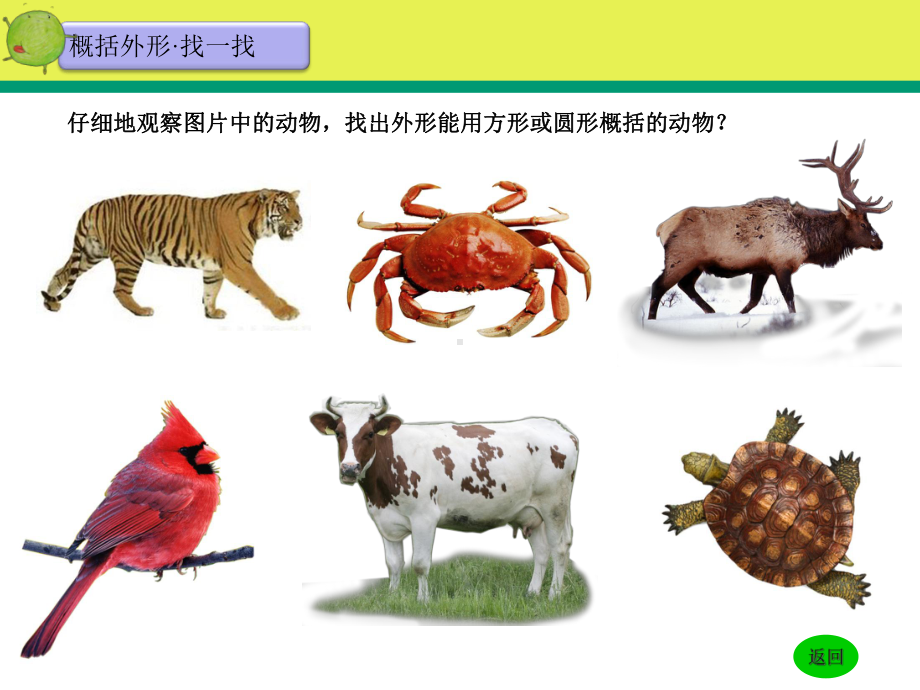 湘版三年级上方方圆圆课件.ppt_第3页