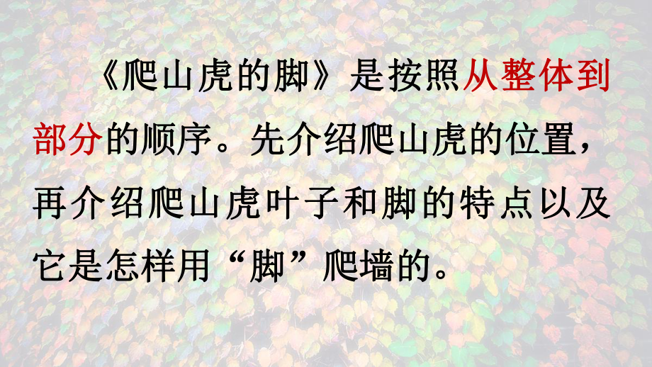 人教版小学语文四年级上册《习作学写观察作文-植物》课件.pptx_第3页