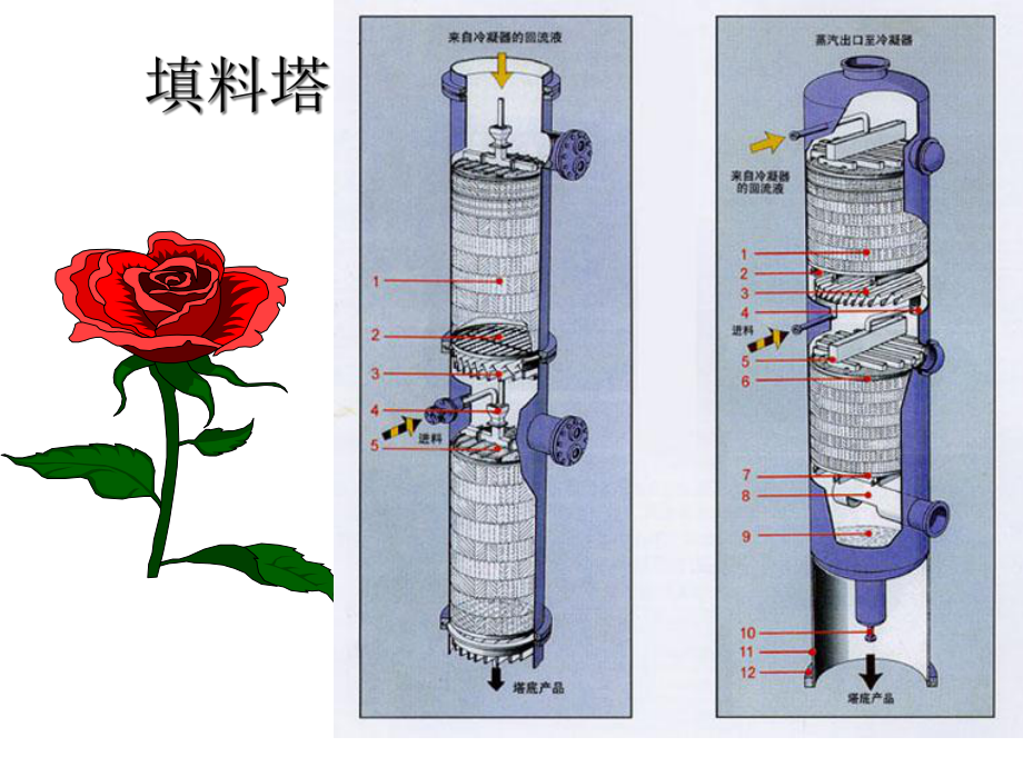 填料塔设计讲解课件.ppt_第1页