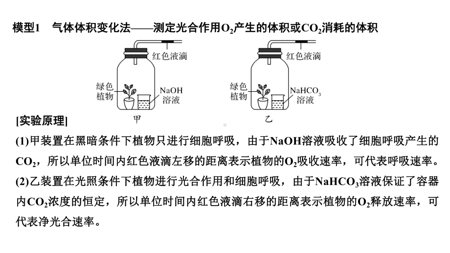 微专题6三率测定的6种实验模型课件.ppt_第2页