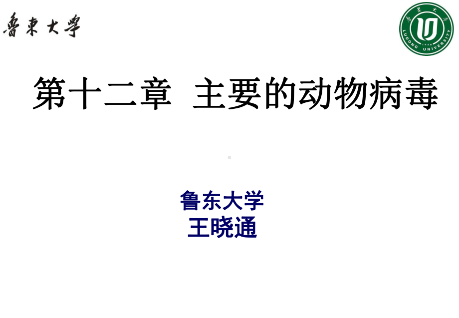 执业兽医资格考试免疫学10主要的动物病毒课件.ppt_第1页