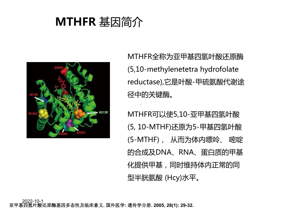 mthfr基因检测与叶酸代谢产科方向课件.ppt_第3页