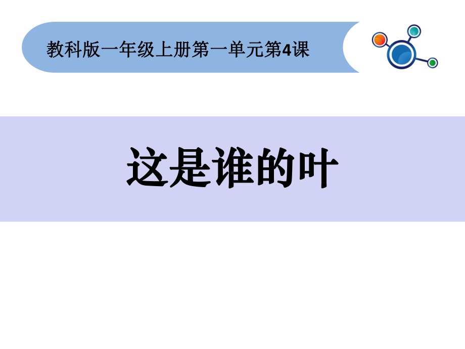 小学一年级科学这是谁的叶课件.ppt_第1页