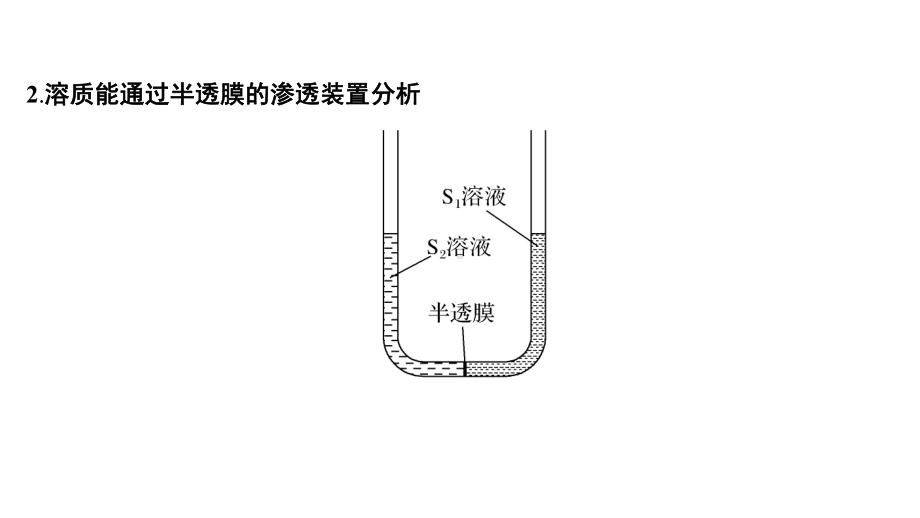 微专题2深度分析渗透作用装置图2022年新高考生物一轮总复习课件.pptx_第3页