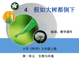 六年级上册科学假如大树都倒下湘教版课件3.ppt