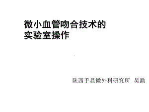 微小血管吻合技术课件.ppt