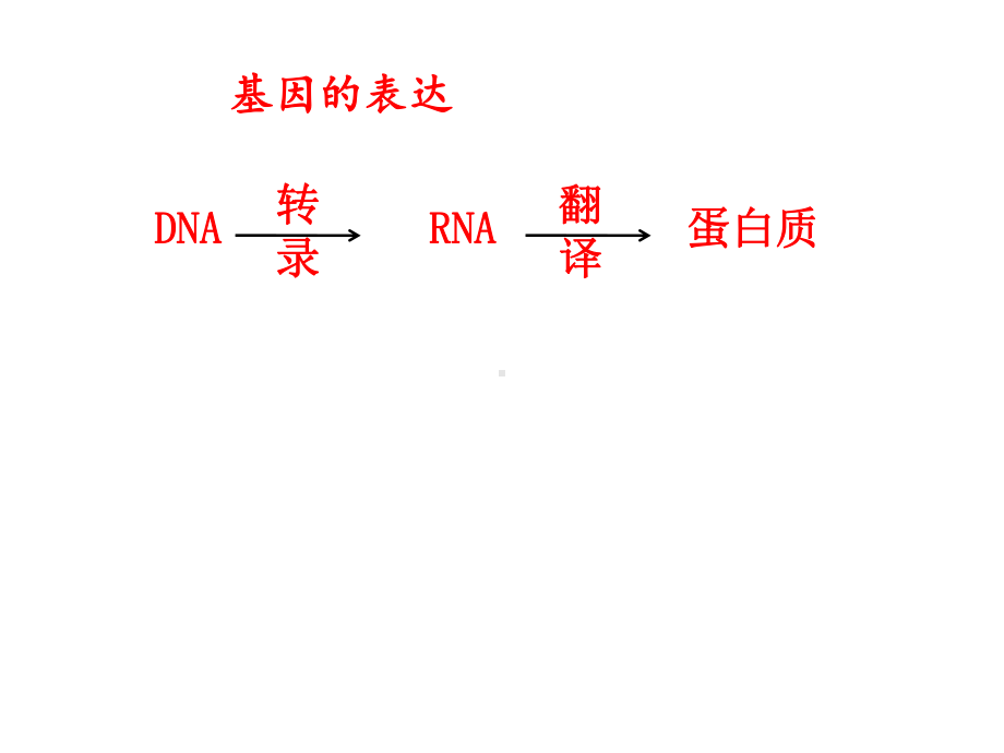 人教版生物必修二第四章基因的表达复习(共36张)课件.ppt_第3页