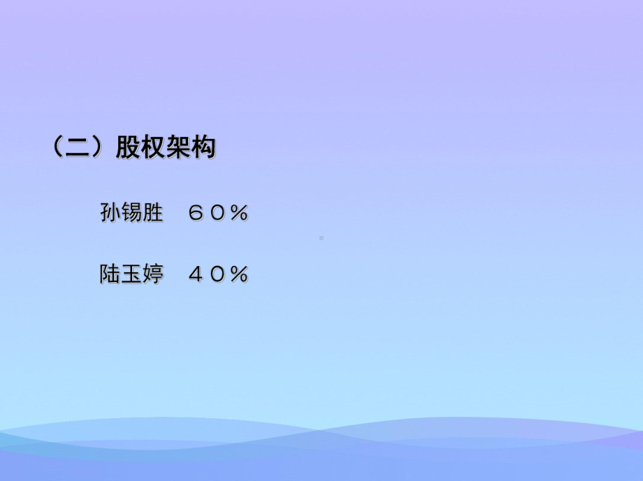 公司融资计划书2021优秀课件.ppt_第2页