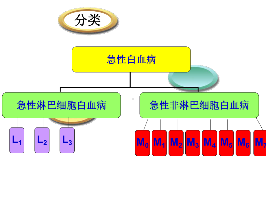 急性白血病护理查房课件2.ppt_第3页