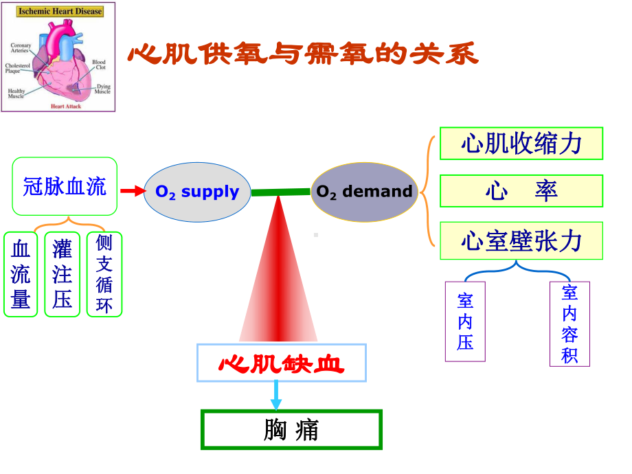 心绞痛小讲课2021优秀课件.ppt_第3页