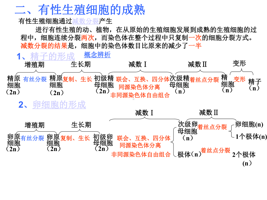 生物的生殖和发育(上课)课件.ppt_第3页