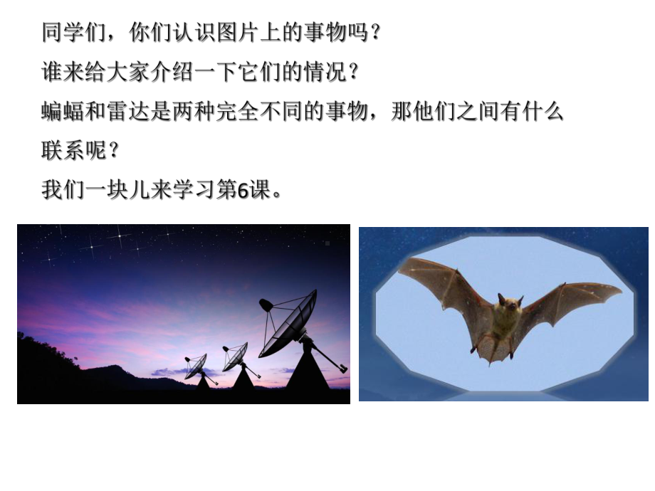 夜间飞行的秘密课件.ppt_第3页