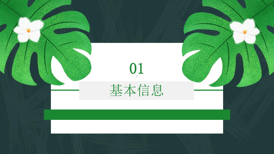 庄重创意森系文艺风岗位竞聘经典创意高端模板课件.pptx_第3页