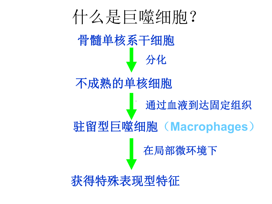 巨噬细胞多样性促进肿瘤发展和转移课件.ppt_第2页